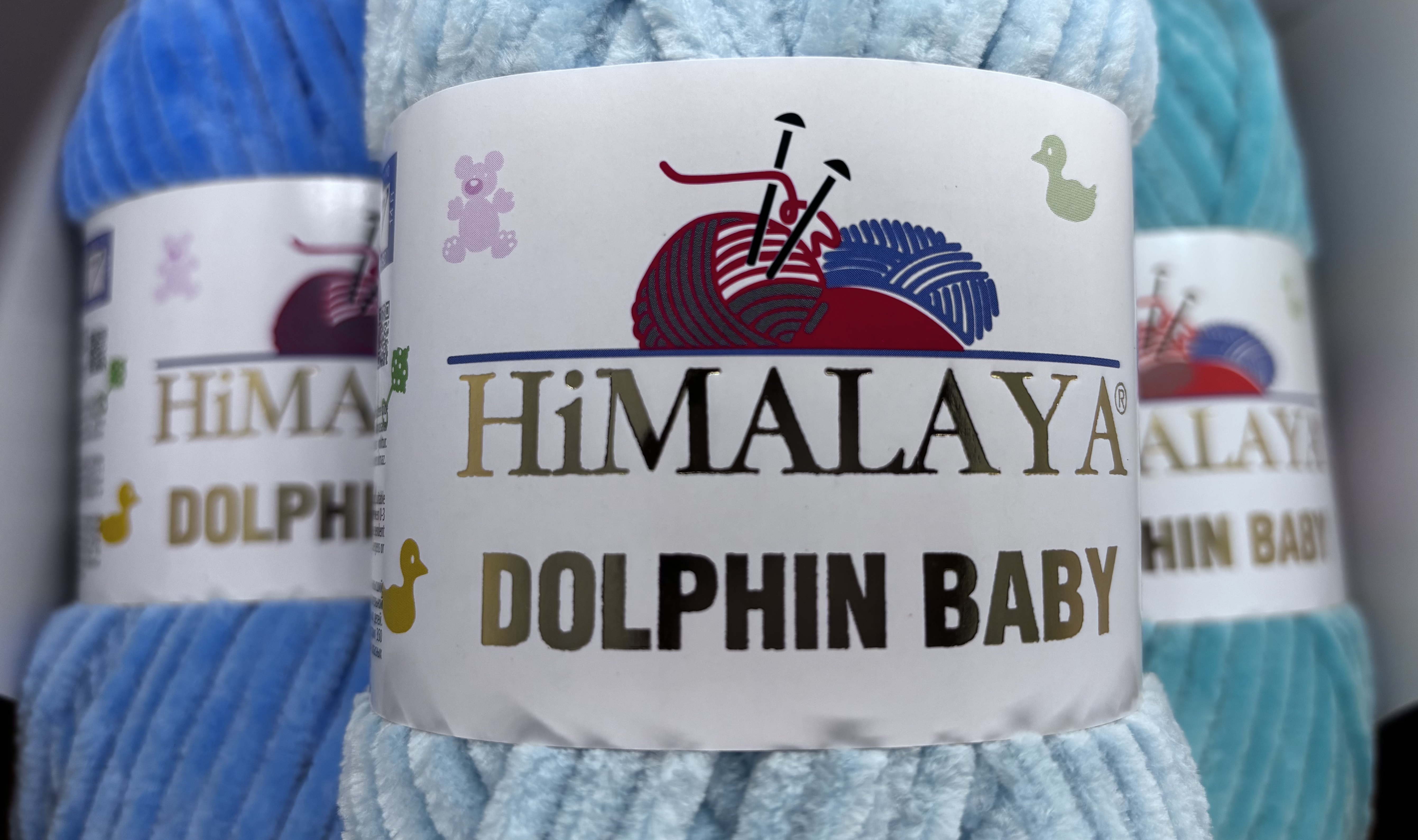 Dolphin baby