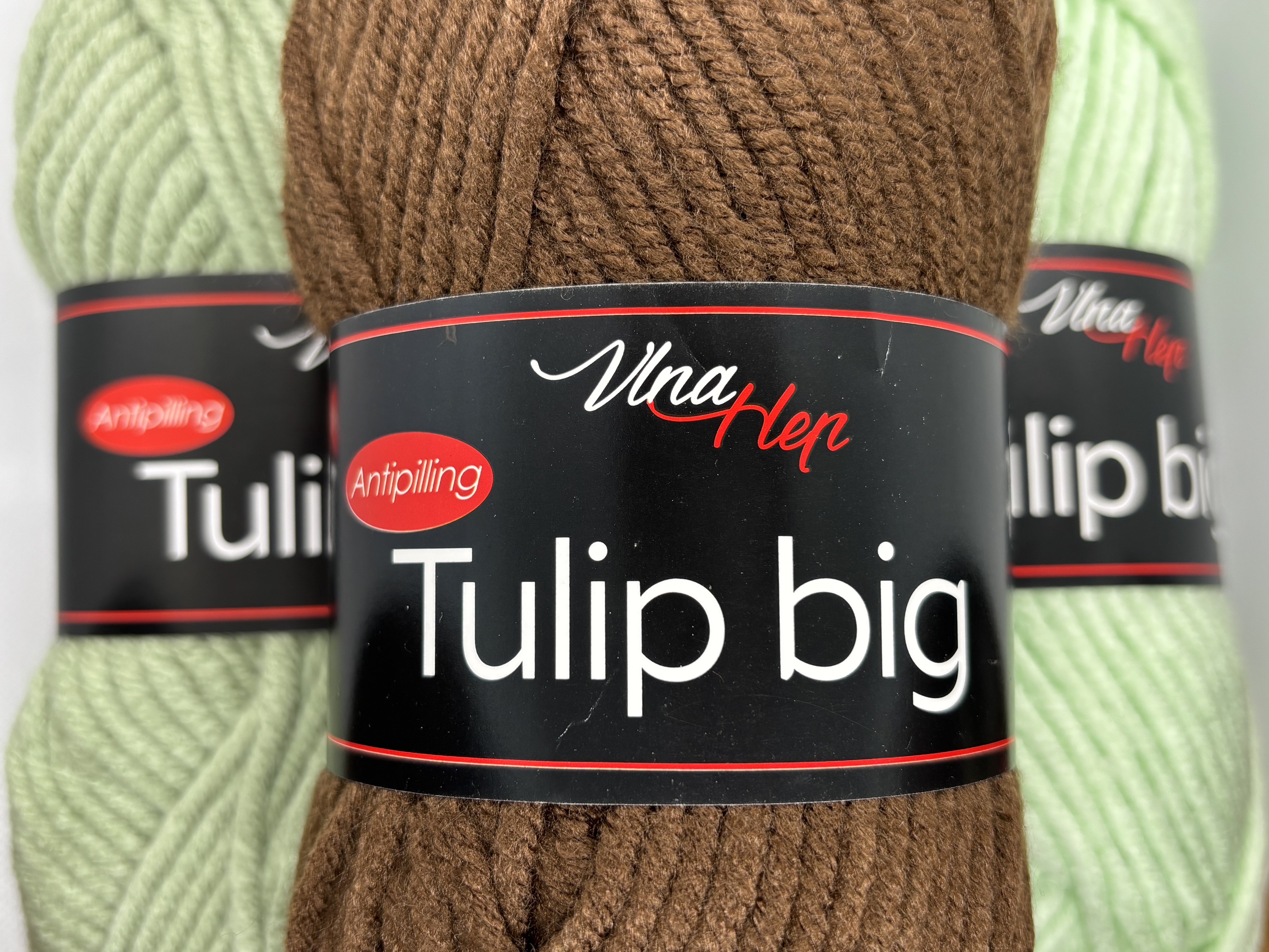 Tulip big