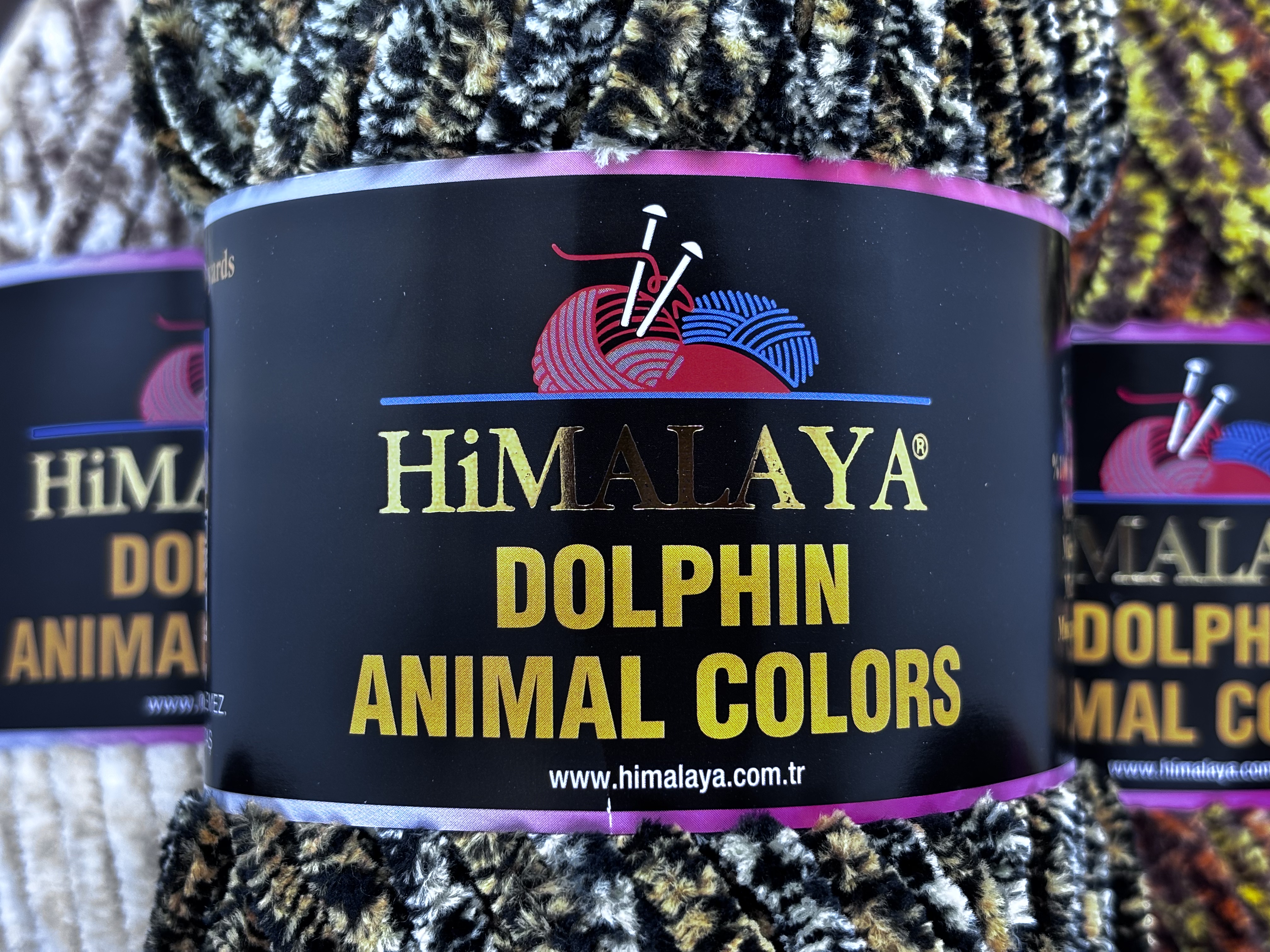 Dolphin animal colors
